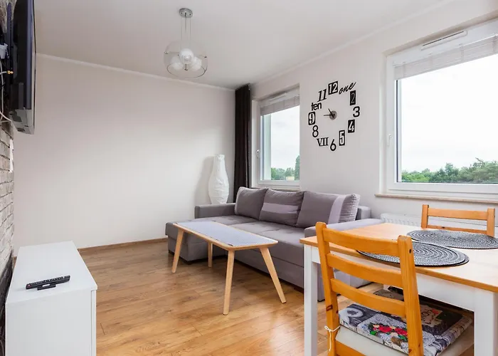 Brzezno Homely Apartment