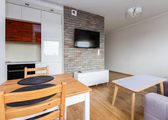Brzezno Homely Apartment